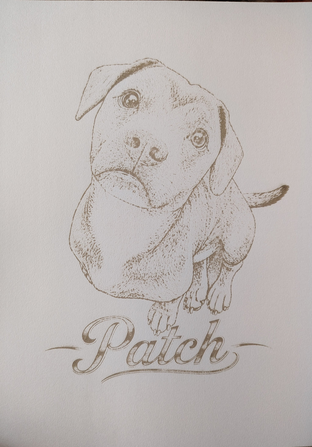 Pet laser engraved portraits