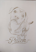 Pet laser engraved portraits