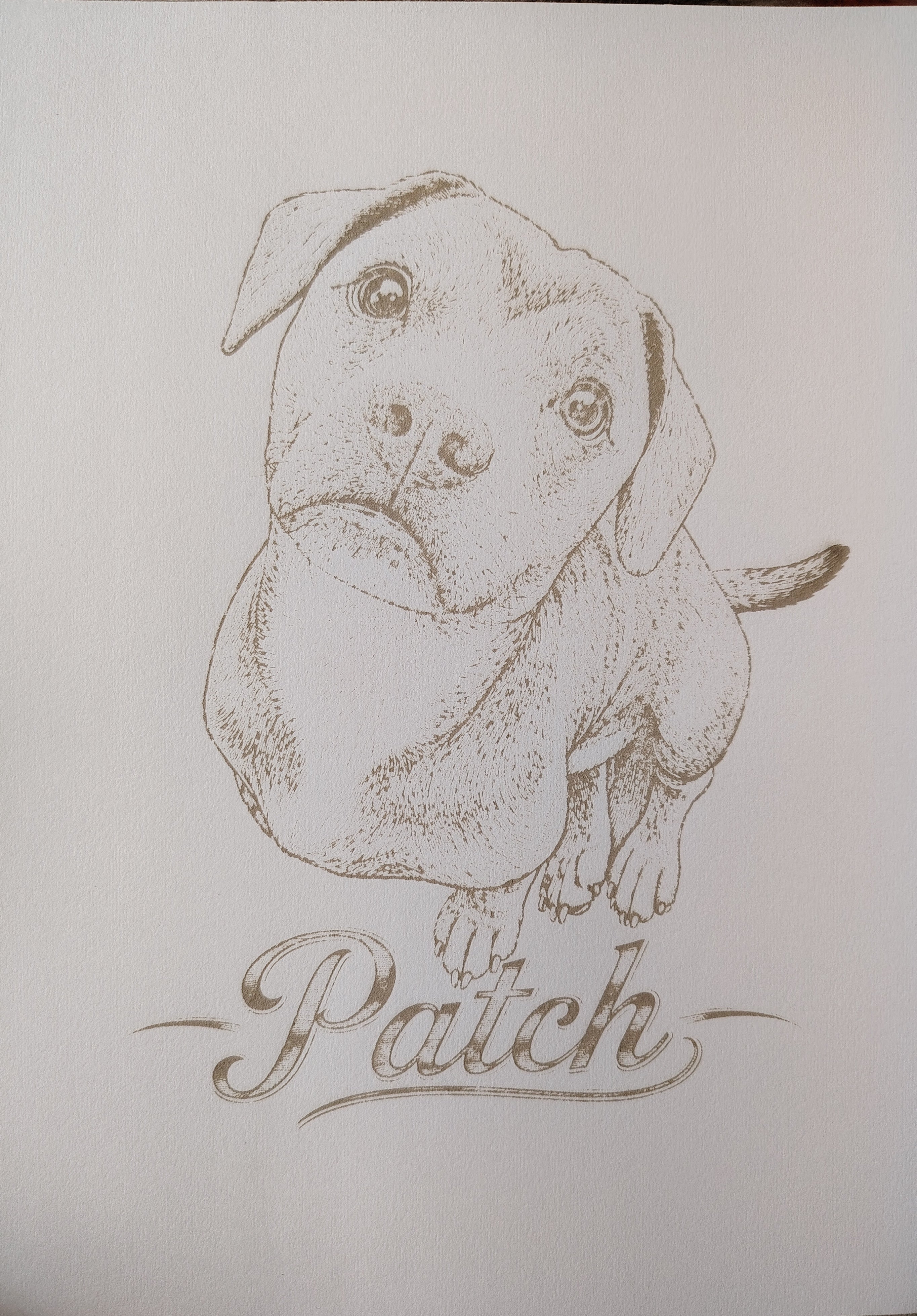 Pet laser engraved portraits